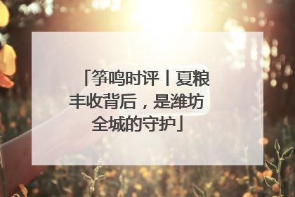 筝鸣时评丨夏粮丰收背后，是潍坊全城的守护