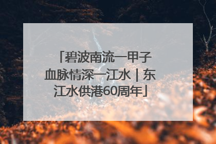 碧波南流一甲子 血脉情深一江水｜东江水供港60周年