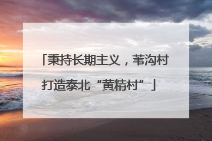 秉持长期主义，苇沟村打造泰北“黄精村”