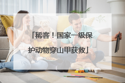 稀客！国家一级保护动物穿山甲获救