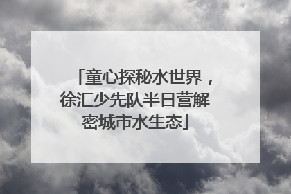 童心探秘水世界，徐汇少先队半日营解密城市水生态