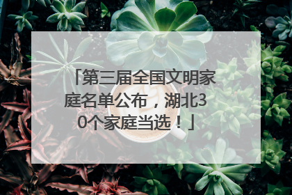 第三届全国文明家庭名单公布，湖北30个家庭当选！