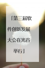 第三届软件创新发展大会在光谷举行