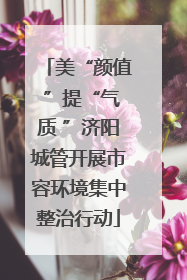 美“颜值 ”提“气质 ”济阳城管开展市容环境集中整治行动
