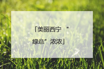 美丽西宁 “绿意”浓浓
