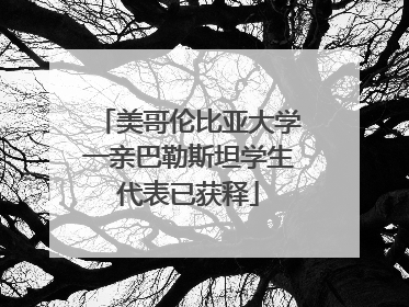 美哥伦比亚大学一亲巴勒斯坦学生代表已获释
