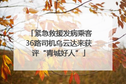 紧急救援发病乘客 36路司机乌云达来获评“青城好人”