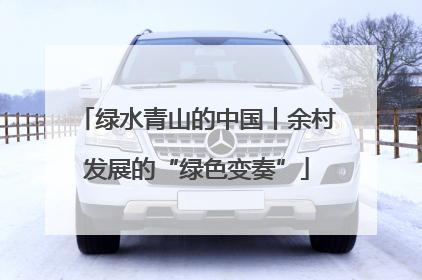 绿水青山的中国丨余村发展的“绿色变奏”
