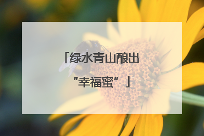 绿水青山酿出“幸福蜜”