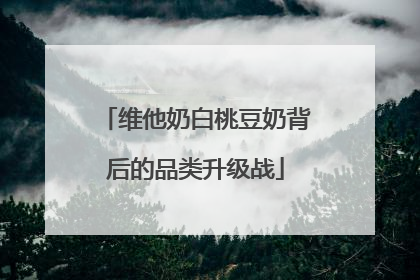 维他奶白桃豆奶背后的品类升级战