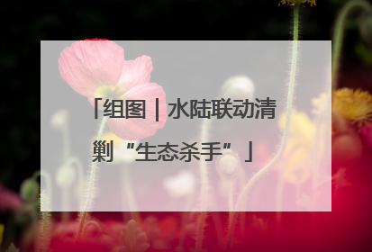 组图｜水陆联动清剿“生态杀手”