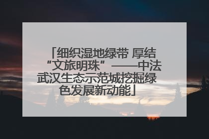 细织湿地绿带 厚结“文旅明珠”——中法武汉生态示范城挖掘绿色发展新动能