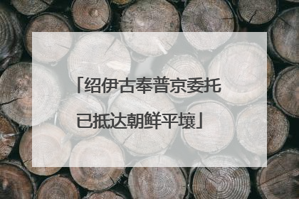 绍伊古奉普京委托已抵达朝鲜平壤