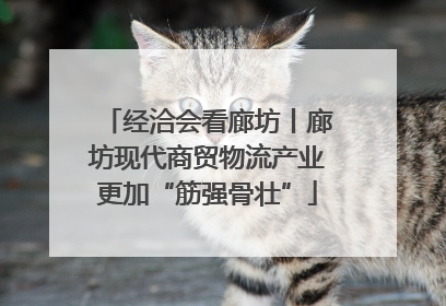 经洽会看廊坊丨廊坊现代商贸物流产业更加“筋强骨壮”