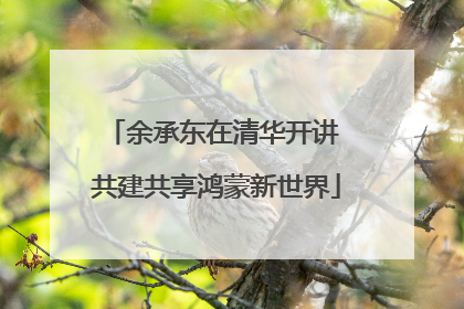 余承东在清华开讲 共建共享鸿蒙新世界