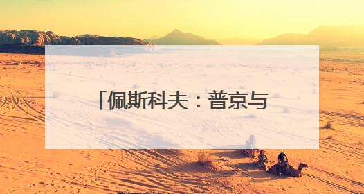 佩斯科夫：普京与特朗普尚未就会面事宜达成任何协议