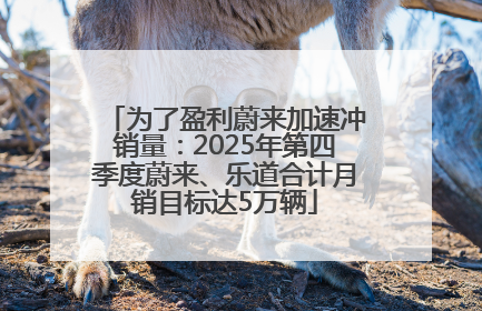 为了盈利蔚来加速冲销量：2025年第四季度蔚来、乐道合计月销目标达5万辆