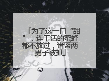 为了这一口“甜”，连干活的蜜蜂都不放过，诸暨两男子被抓