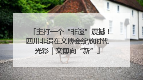 主打一个“非遗”震撼！四川非遗在文博会绽放时代光彩｜文博向“新”