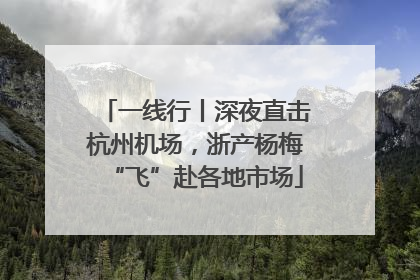 一线行丨深夜直击杭州机场，浙产杨梅“飞”赴各地市场
