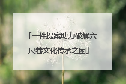 一件提案助力破解六尺巷文化传承之困