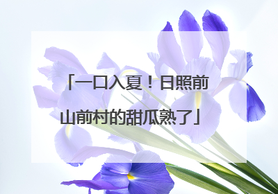 一口入夏！日照前山前村的甜瓜熟了