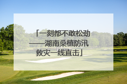 一刻都不敢松劲——湖南桑植防汛救灾一线直击