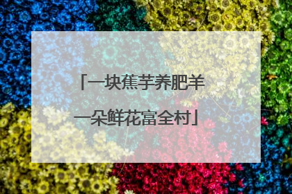 一块蕉芋养肥羊 一朵鲜花富全村