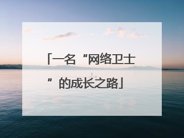 一名“网络卫士”的成长之路