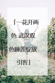 一花开两色 武汉双色睡莲绽放引客