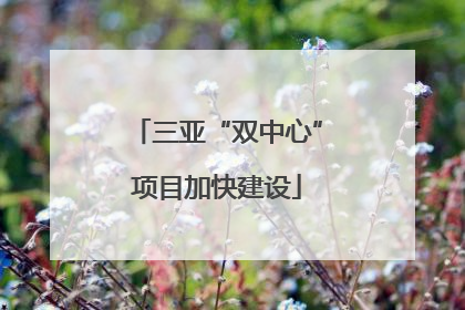 三亚“双中心”项目加快建设