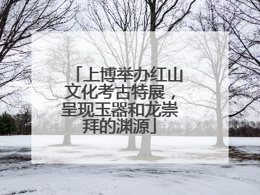 上博举办红山文化考古特展，呈现玉器和龙崇拜的渊源