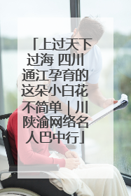 上过天下过海 四川通江孕育的这朵小白花不简单｜川陕渝网络名人巴中行