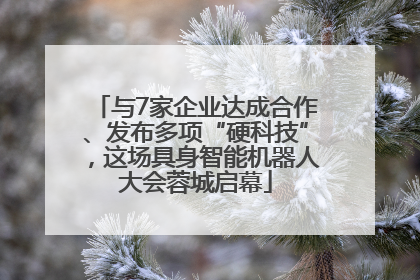 与7家企业达成合作、发布多项“硬科技”，这场具身智能机器人大会蓉城启幕