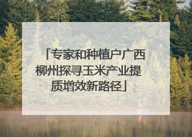 专家和种植户广西柳州探寻玉米产业提质增效新路径