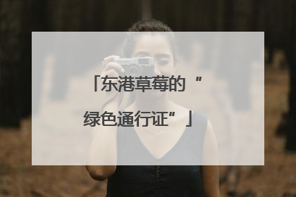 东港草莓的“绿色通行证”