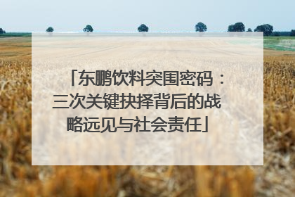 东鹏饮料突围密码：三次关键抉择背后的战略远见与社会责任