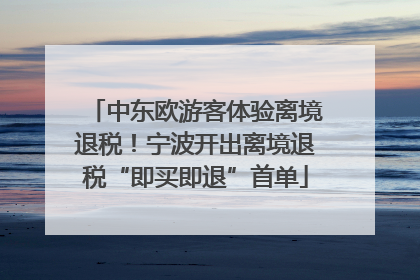 中东欧游客体验离境退税！宁波开出离境退税“即买即退”首单