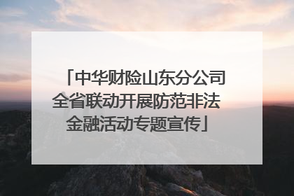 中华财险山东分公司全省联动开展防范非法金融活动专题宣传