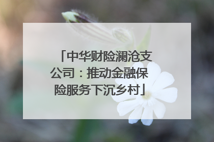 中华财险澜沧支公司：推动金融保险服务下沉乡村