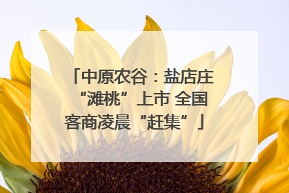 中原农谷：盐店庄“滩桃”上市 全国客商凌晨“赶集”