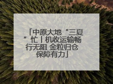 中原大地“三夏”忙丨机收运输畅行无阻 金粒归仓保障有力