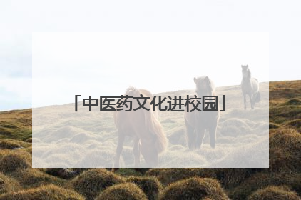 中医药文化进校园