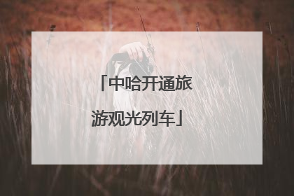 中哈开通旅游观光列车