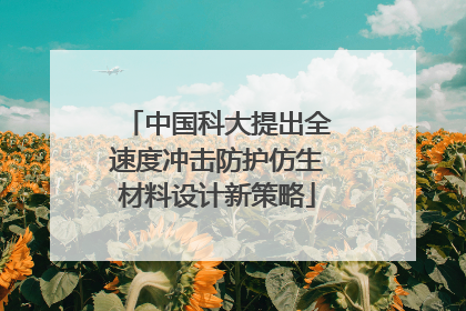 中国科大提出全速度冲击防护仿生材料设计新策略