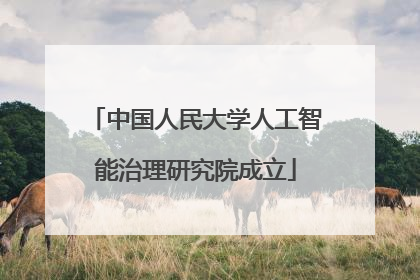 中国人民大学人工智能治理研究院成立