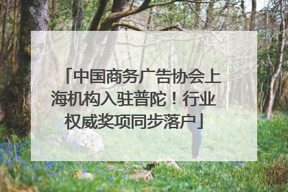 中国商务广告协会上海机构入驻普陀！行业权威奖项同步落户
