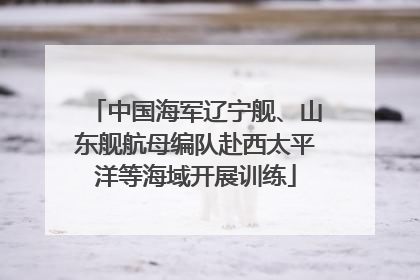 中国海军辽宁舰、山东舰航母编队赴西太平洋等海域开展训练