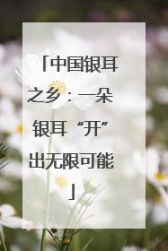 中国银耳之乡：一朵银耳“开”出无限可能