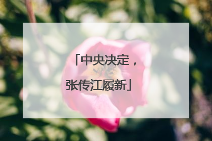 中央决定，张传江履新